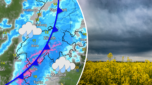 Links: Eine Wetterkarte der Schweiz zeigt im ganzen Land Regen (in Blau). Auf hohen Bergen fällt Schnee (in Rosa). Zudem ist eine Kaltfront als blaue Linie mit Dreiecken eingezeichnet.; Rechts: Über einem blühenden Rapsfeld sind dunkle Wolken mit Regen zu sehen