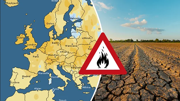 Große Trockenheit in Europa im Juli sogt für ausgetrocknete Böden und hohe Brandgefahr