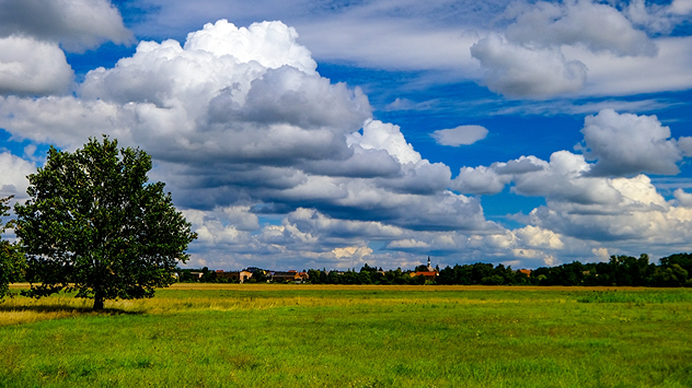 Eine weite grüne Wiese mit Baum im Vordergrund, darüber türmen sich weiße Wolken.