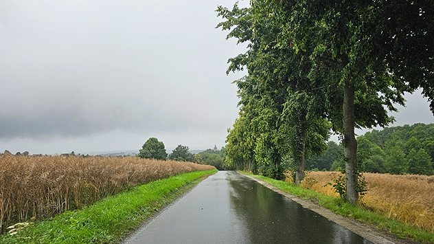 Eine nasse Landstraße führt durch Felder und gesäumte Bäume. Am Horizont ragen Wolken über einer Kleinstadt mit Kirchturm.