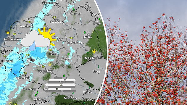Links: WetterRadar-Karte vom 19. Dezember zeigt ein Regenband im Westen und teils sonniges Wetter im Osten – markiert durch Sonne-Wolke-Regen-Symbol und Nebelsymbole im Süden. Rechts: Ein Baum voller roter Beeren vor grauem Himmel – typisches Bild für den milden, trüben Winterbeginn.
