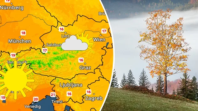 Links zeigt das TemperaturRadar Höchstwerte zwischen 16 und 19 Grad in Österreich. Rechts steht ein herbstlich gefärbter Baum vor einer nebligen Landschaft.