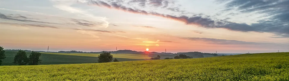 Sonnenaufgang über gelben Rapsfeldern mit weitläufiger Hügellandschaft und auffälligen Wolken am Morgenhimmel.