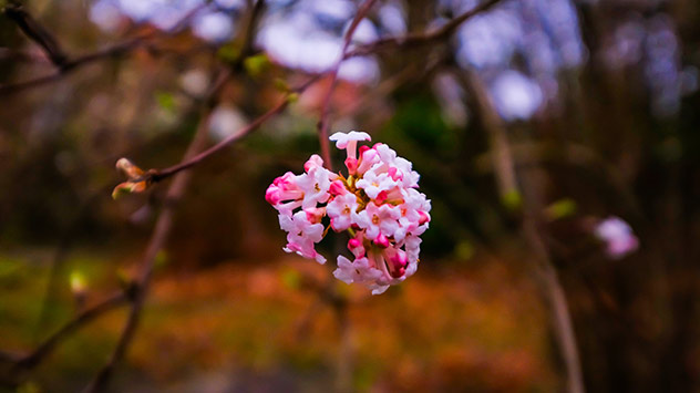 Die Natur erwacht langsam aus ihrem Winterschlaf.