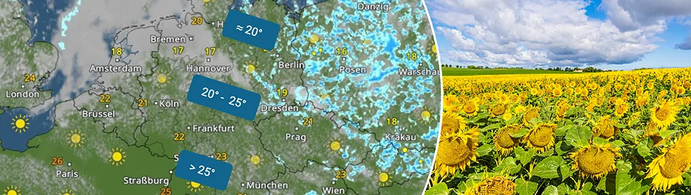 Viele Wolken und Temperaturen um 20 Grad im Norden und Nordosten, mehr Sonne und über 25 Grad im Südwesten. Daneben Sonnenblumen, die Wasser brauchen