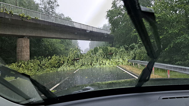 Ein umgeknickter Baum blockiert die Fahrbahn in Ebergötzen.