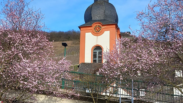 © Jörg-Peter Steinmetz via WetterMelder Deutschland Sonniger Sonntag