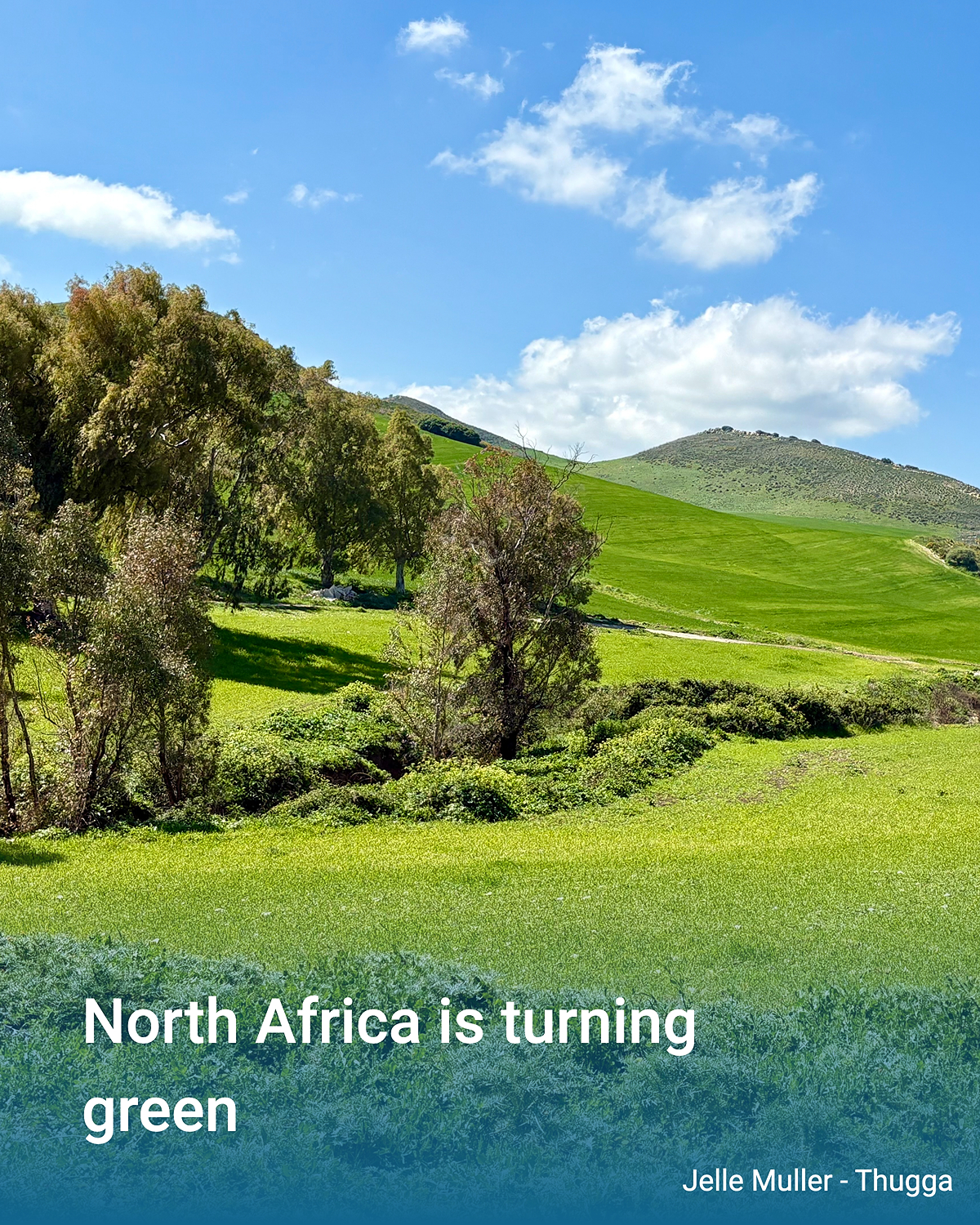 Green hills dotted with fields and trees under a blue sky with a few clouds.