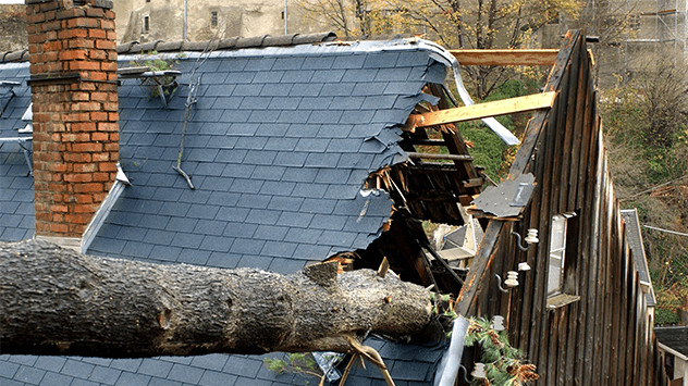 Ein umgestürzter Baum zerstört das Dach eines Hauses 