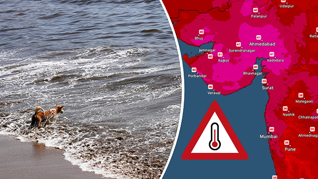Rising heat in the states of Gujarat and Maharashtra. Concerning heatwave like conditions in early March