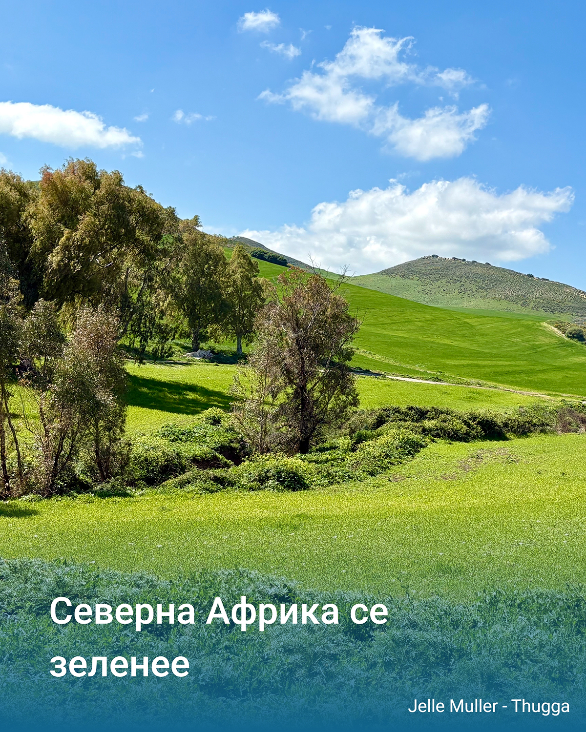 Зелени хълмове с ниви и дървета под синьо небе с няколко облака.