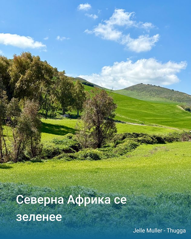 Зелени хълмове с ниви и дървета под синьо небе с няколко облака.