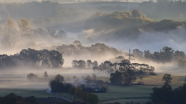 A misty rural landscape at dawn, with low fog drifting among trees and fields, soft sunlight filtering through, and faint outlines of hills in the background.