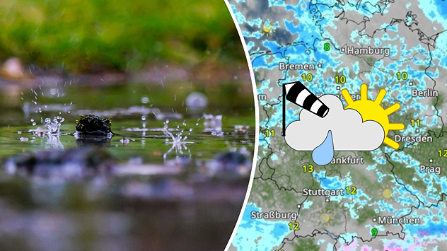 Geteilte Grafik: links Regentropfen in einer Pfütze, aufgenommen am 22.02.2026 in Dannigkow, rechts eine WetterRadar-Karte mit Regen- und Windsymbolen.