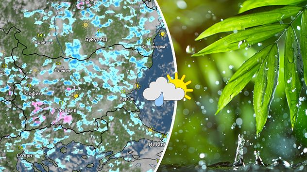 Отляво: Метеокартата показва петнисти валежи над страната в събота Отдясно; Снимка на листа с капки дъжд върху тях