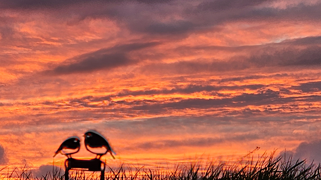 Two small bird statues perched on a post in silhouette against a vivid orange and pink sunset sky with layered clouds above grassy foreground.