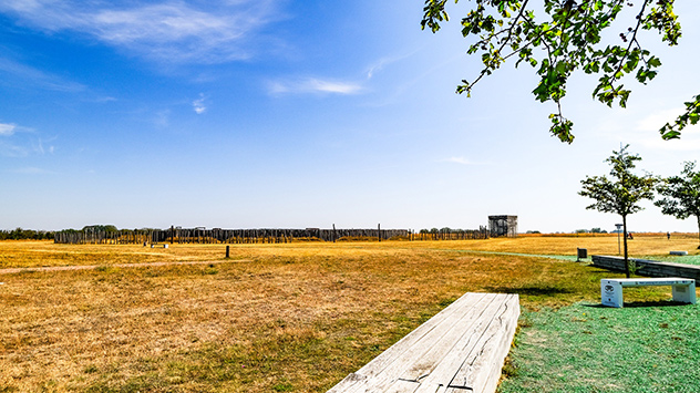 Feld bei Hitze und Sonnenschein