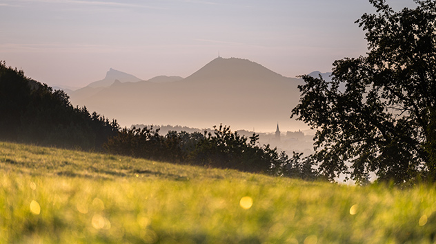 Sonniger Tagesstart im Nebel 