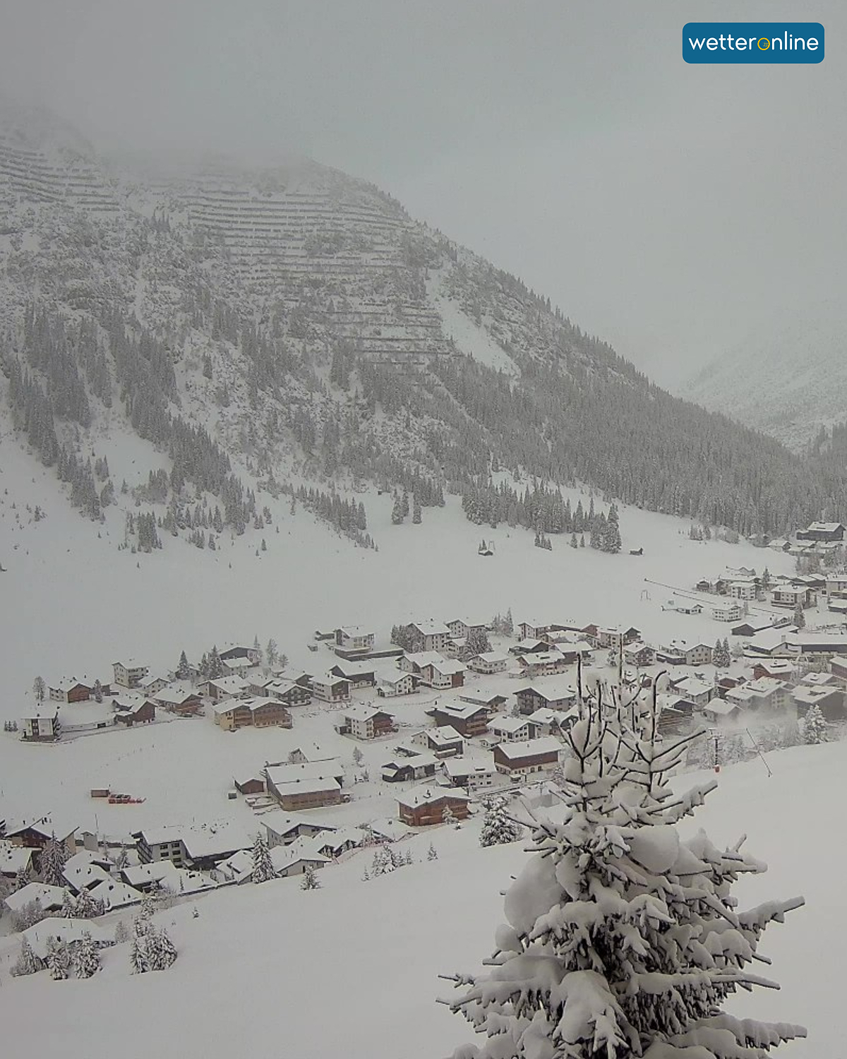 © foto-webcam.eu Verschneites Alpendorf mit wolkenverhangenen Bergen und schneebedeckter Tanne im Vordergrund.