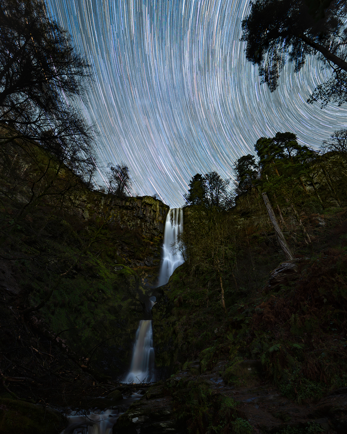 Long-exposure night scene of a tall, tiered waterfall flowing through a forested gorge, with bright circular star trails sweeping across the sky above.