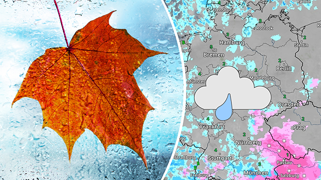 asses Herbstblatt auf einer verregneten Fensterscheibe, daneben eine WetterRadar-Karte mit Regen- und Schneefeldern über Deutschland.
