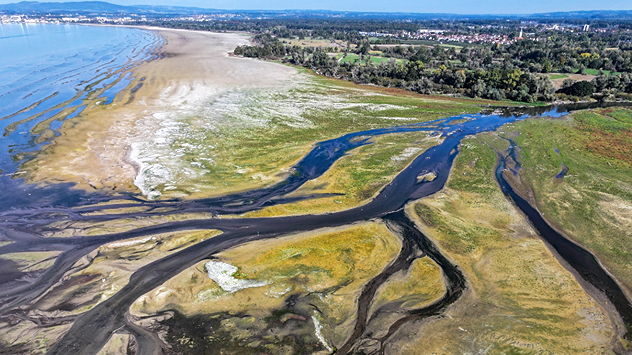 Luftaufnahme eines Seeufers mit weitläufigen Sand- und Schlickflächen sowie verzweigten Wasserläufen.