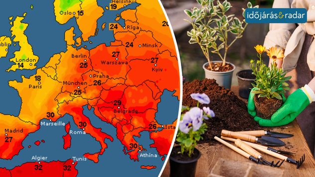 Hőmérsékleti térkép a bal oldalon, míg a jobbon egy kertészkedő hölgy kezei, ahogy ültetnek