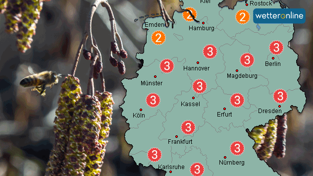 Der Pollenflug ist fast im gesamten Land stark.