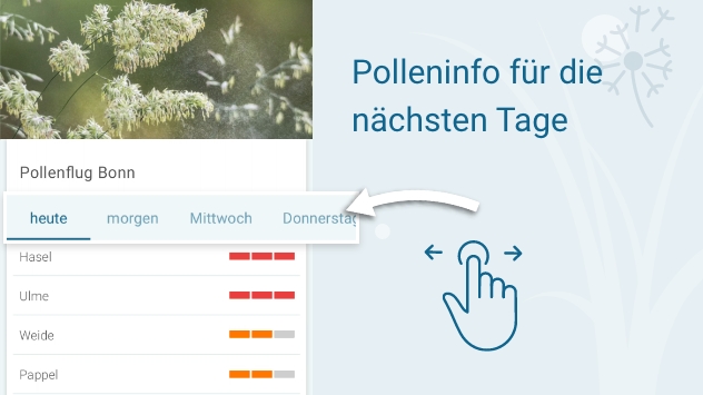 Polleninfo für die nächsten Tage