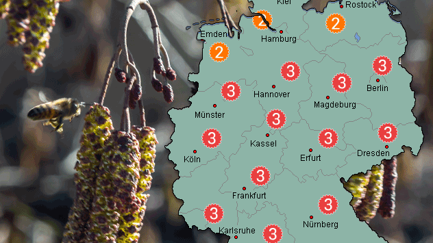 Der Pollenflug ist fast im gesamten Land stark.