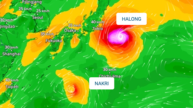 Taifune Halong und Nakri Wetterkarte mit den Taifunen Halong und Nakri über dem Westpazifik nahe Japan.