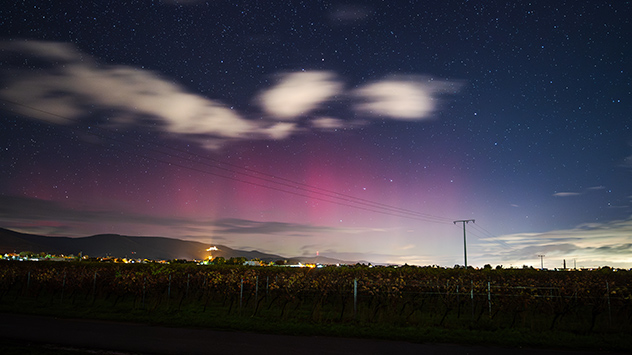 Die Nordlichter sind auch in Süddeutschland zu beobachten, wie hier in Maikammer an der südlichen Weinstraße in der Pfalz.
