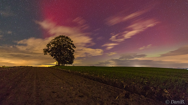 Polarlicht über Meißen
