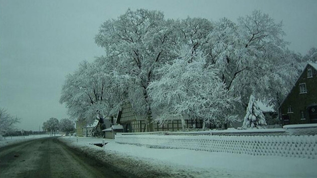 Schneechaos im Münsterland