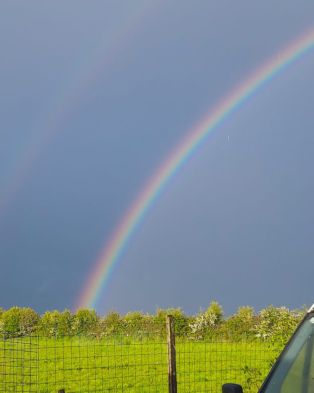 Bright rainbow descending into a green field beneath a dark stormy sky, with sunlit trees, a wire fence, and light rain visible in the foreground.
