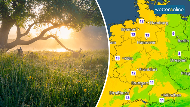 Morgensonne über einer Wiese neben dem TemperaturRadar mit milden Nachtwerten.