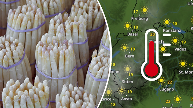 Weißer Spargel zusammengebunden und WetterRadar