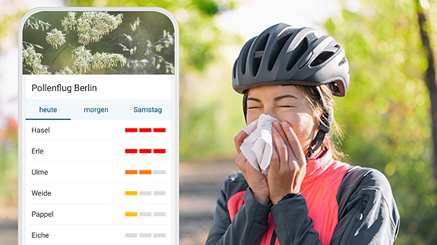 Links: Pollenflugvorhersage in der WetterOnline App.
