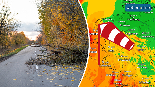 Links: Umgestürzter Baum blockiert eine herbstliche Landstraße nach einem Sturm. Rechts: WetterRadar-Karte von WetterOnline zeigt starke Windböen, markiert durch farbliche Abstufungen und Windsack-Symbol.