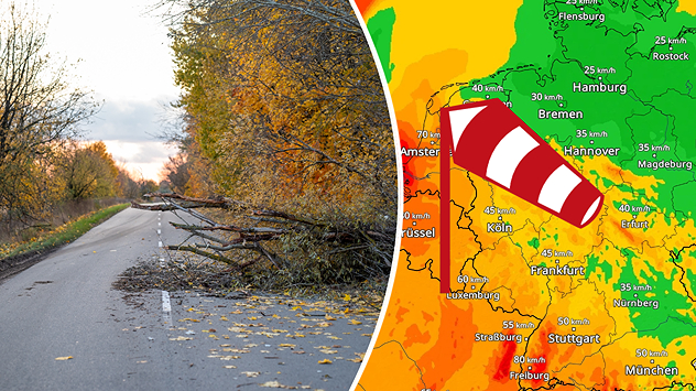 Links: Umgestürzter Baum blockiert eine herbstliche Landstraße nach einem Sturm. Rechts: WetterRadar-Karte von WetterOnline zeigt starke Windböen, markiert durch farbliche Abstufungen und Windsack-Symbol.