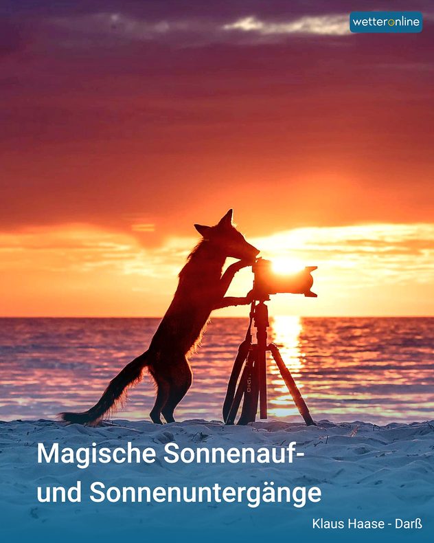 Das Bild zeigt einen Sonnenuntergang am Strand. Im Vordergrund sind ein Fuchs und eine Kamera auf einem Stativ zu sehen.