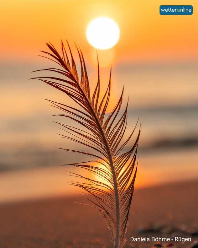 Das Bild zeigt einen Sonnenuntergang am Strand. Im Vordergrund ist eine Feder zu sehen.
