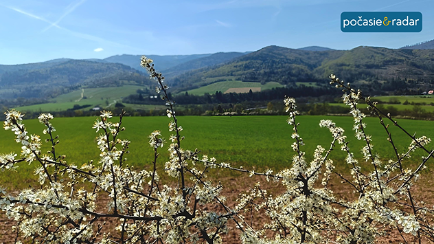 Jarná krajina s rozkvitnutými stromami v popredí, zelenými poliami a kopcami v pozadí pod jasnou modrou oblohou