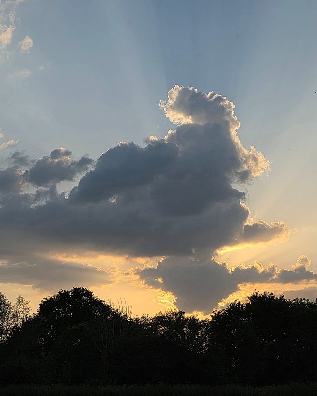 Large dark cumulus cloud towering above a tree-lined horizon at sunset, with golden sunlight outlining the cloud edges and visible sun rays spreading through the evening sky.