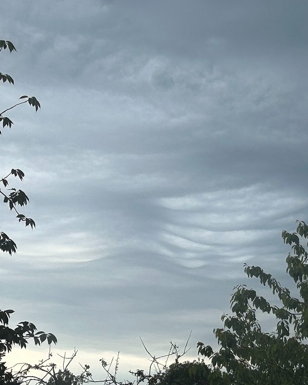Layered gray wave-like clouds stretching across an overcast sky above trees, with smooth undulating bands creating a rippled atmospheric pattern.
