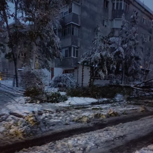 Viscolul a cauzat, însă, și pagube serioase în unele zone din Brăila.