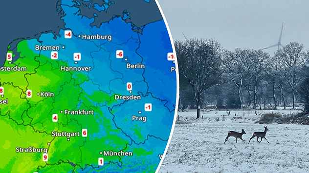 Wetterkarte mit starken Temperaturgegensätzen in Deutschland. Westen deutlich milder als der Osten. Rehe laufen über eine verschneite, trübe Winterlandschaft.