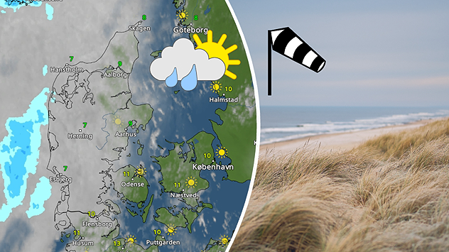 Vejrkort over Danmark med sol og byger kombineret med foto af blæsende kyst med klitter.