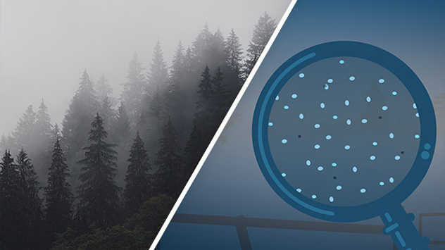 WetterWissen des Tages.