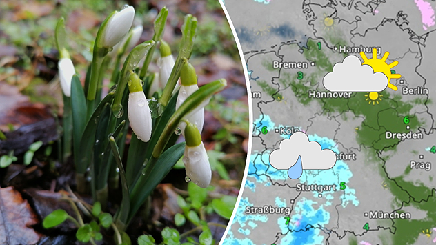 Geteilte Grafik: links Schneeglöckchen mit Tautropfen im feuchten Boden, rechts eine WetterRadar-Karte mit Regen- und Sonne-Wolken-Symbolen.